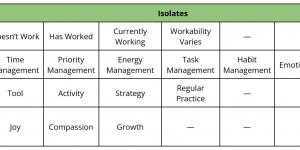 Screenshot of a table listing isolates for the following Facets from top to bottom: Workability, Type, Usage, Aligned Personal Value
